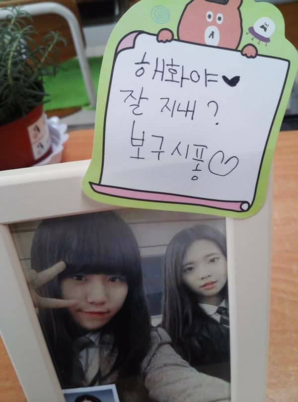 18010341_788578621301571_952718824889076955_n.jpg F4134_18010341_788578621301571_952718824889076955_n.jpg